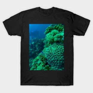 Red Sea Coral Reef T-Shirt